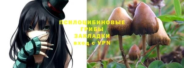 mdpv Беломорск