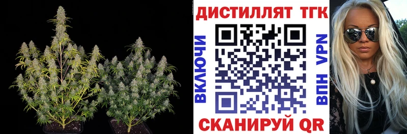 Купить закладки  Беслан  ТГК Wax 