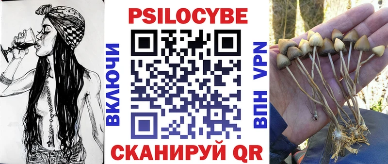 Галлюциногенные грибы Cubensis Беслан