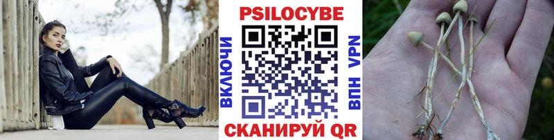 Псилоцибиновые грибы мухоморы  Купить где  Беслан 